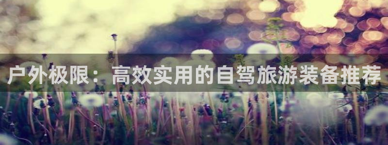 新宝gg赚钱