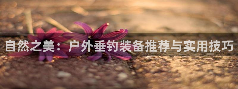 新宝gg主管
