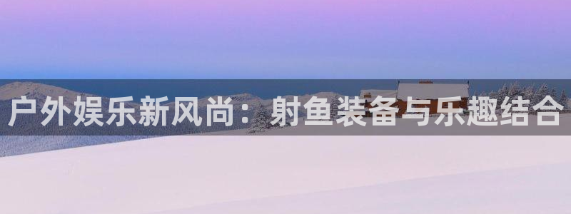 新宝gg代