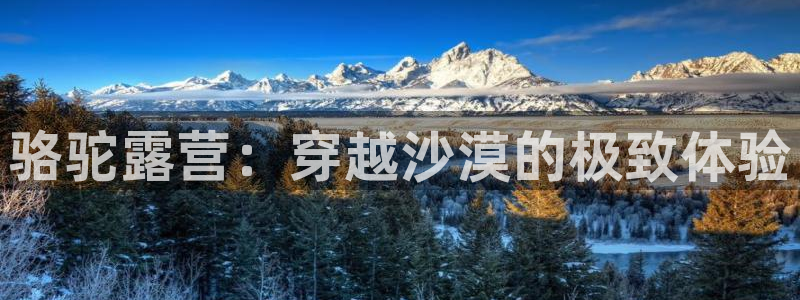 新宝gg如何代理