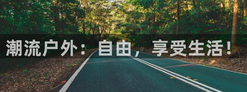 新宝gg创造奇迹