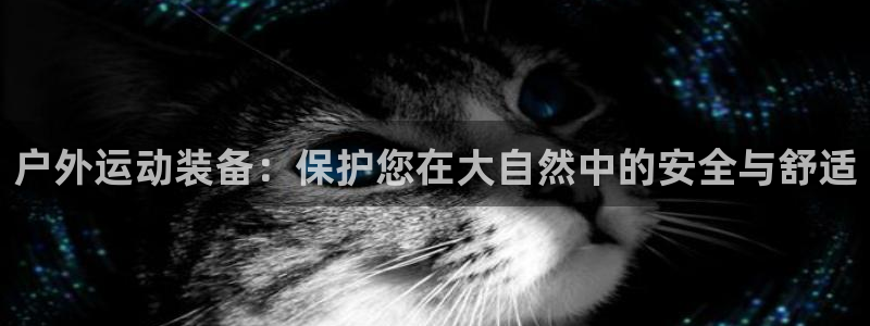 新宝GG上级