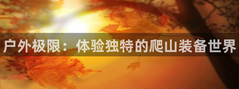 新宝gg违法
