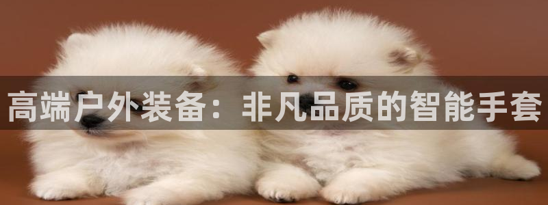 新宝gg挂机app