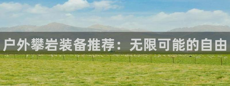 www.新宝gg