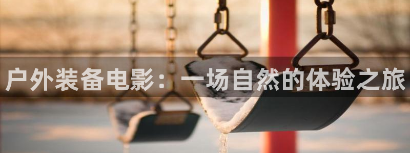 广东新宝电器gg