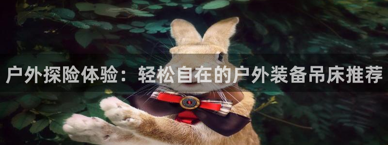 新宝gg网投