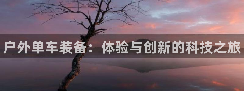 新宝gg棋牌