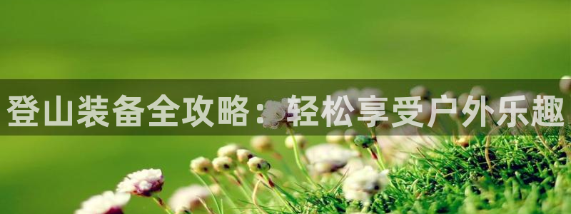 新宝gg 创造奇迹