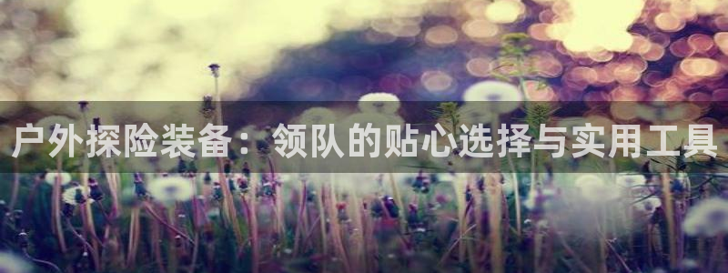 新宝gg测试