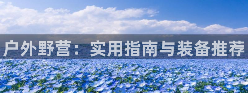 新宝gg评论
