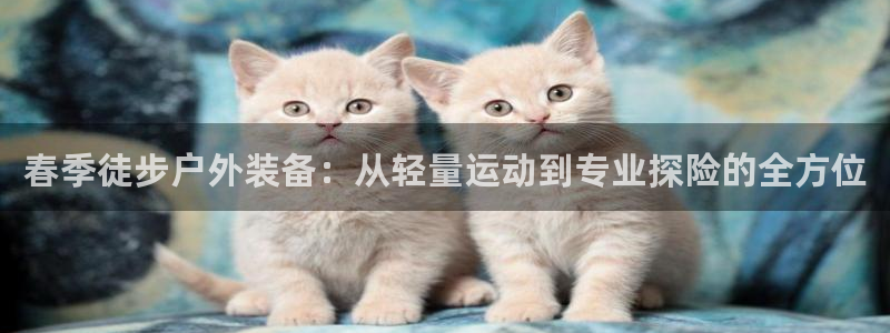新宝太阳gg