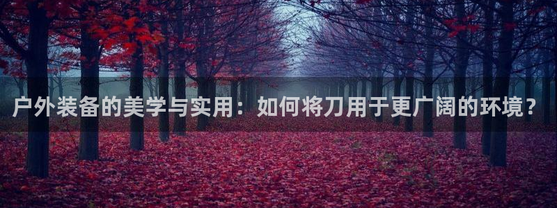 新宝哈哈gg