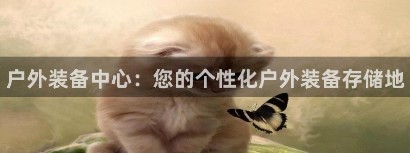新宝gg分红
