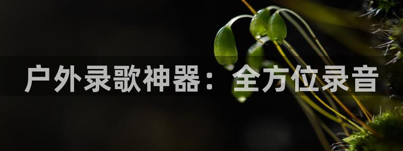 新宝gg平台登录