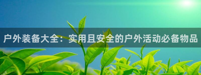 手机新宝gg