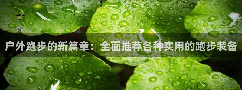 新浪新闻新宝gg