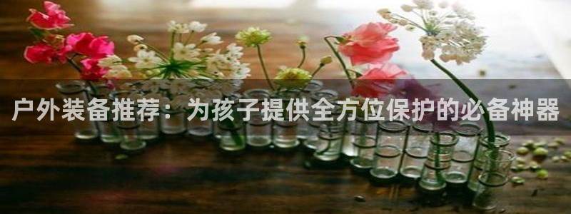 新宝gg试玩