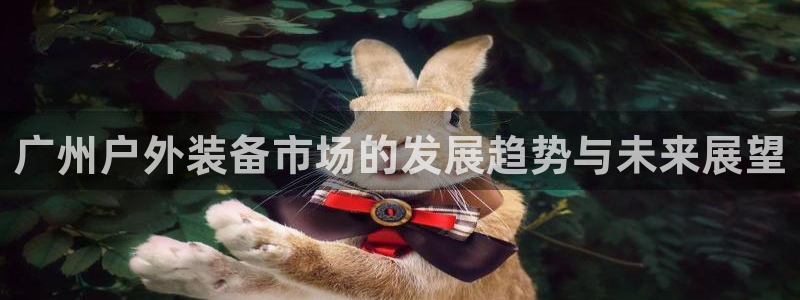 新宝_gg