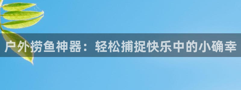 新宝GG主管41333