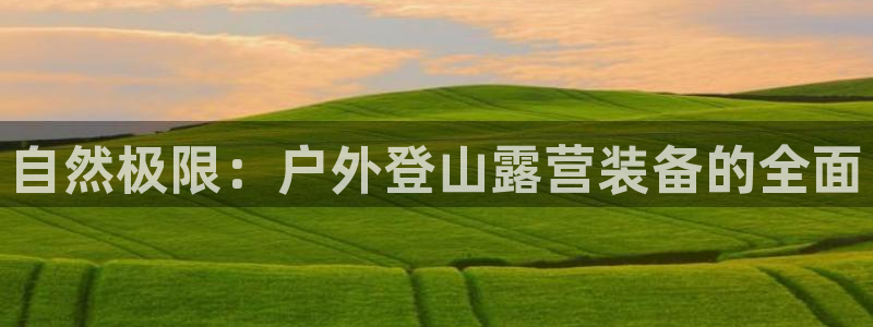 新宝gg—创造