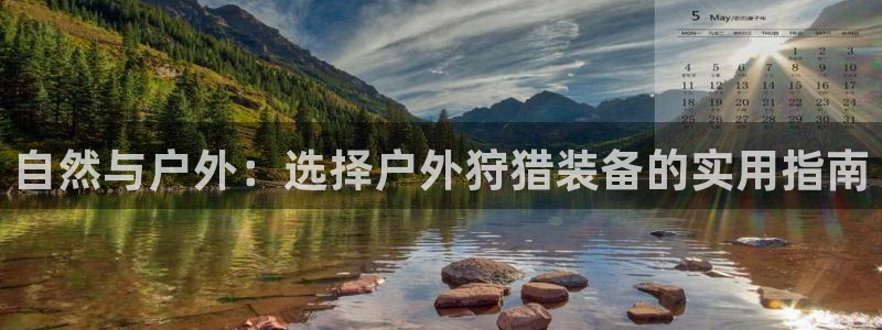 新宝gg软件下载
