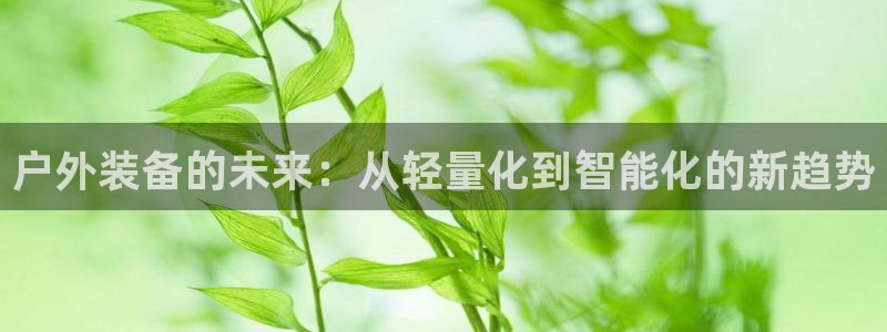 新宝gg打发