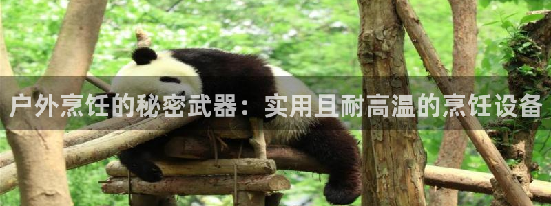 新宝gg 奇迹