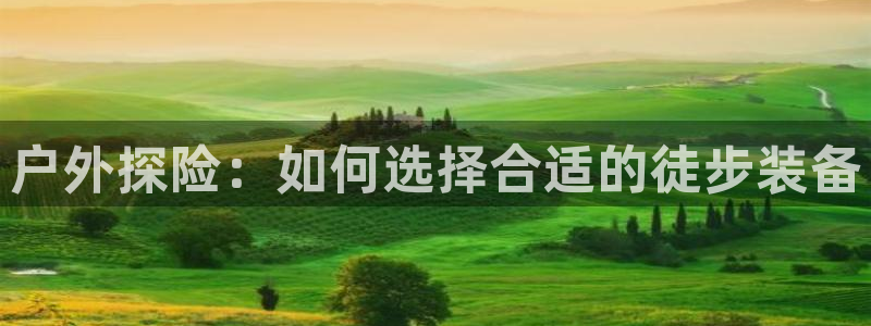 新宝Gg测速地址
