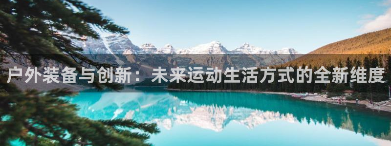 新宝GG股东