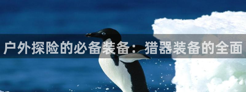 新宝gg地址新宝二