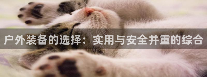 新宝gg漏洞