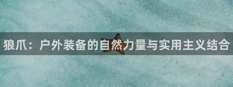 正版新宝gg