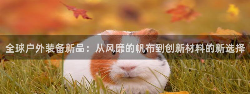 新宝gg 创造