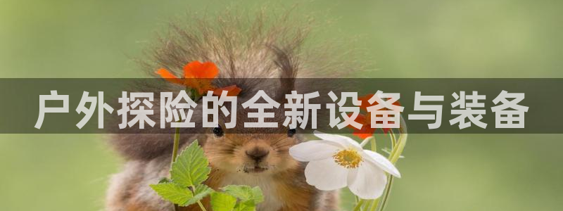 新宝gg客户登录