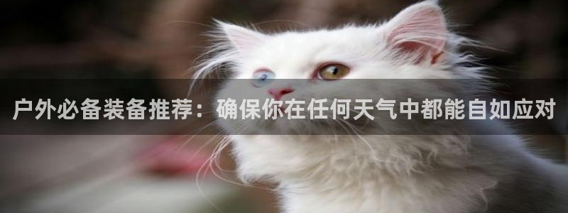 新宝gg传奇