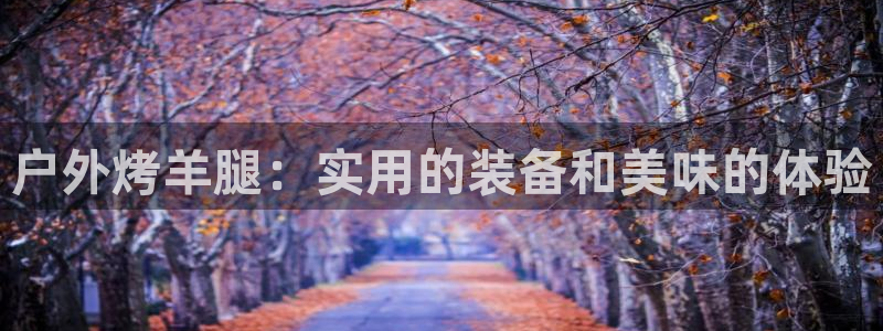 新宝gg主管开