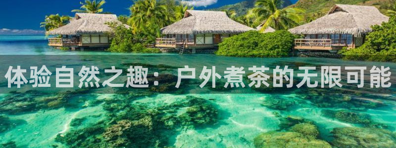 新宝gg奇迹