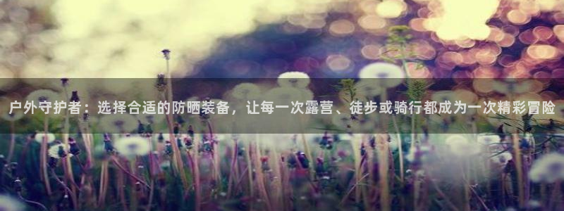 新宝gg打发