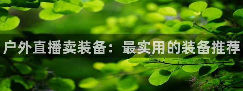 新宝gg 奇迹