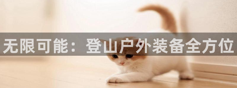 新宝时gg