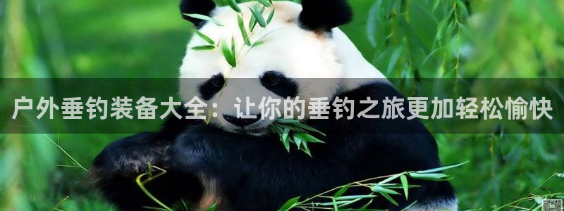 新宝gg手机版下载