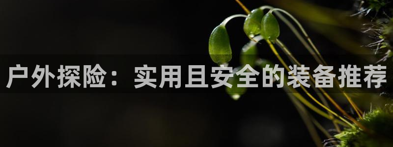 新宝gg开