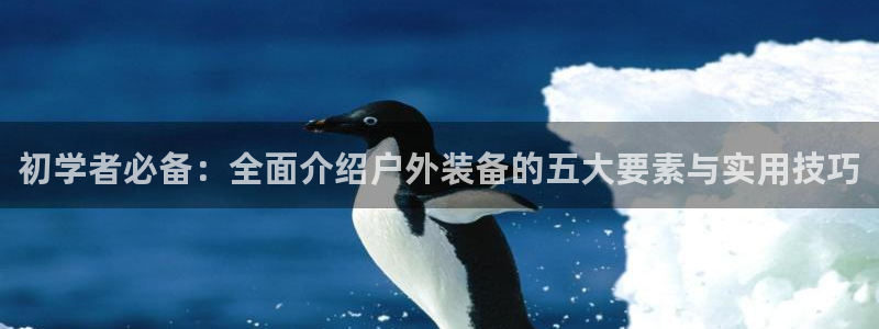 新宝 gg 登