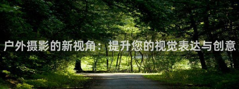 新宝gg平台下载安装