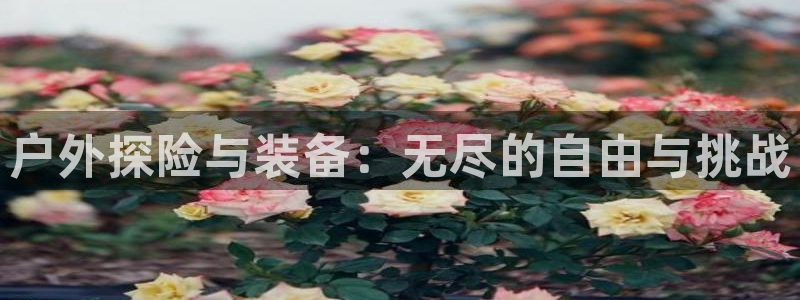 新宝gg娱乐主管q42873