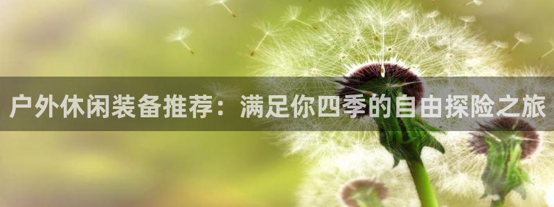 新宝GG链接