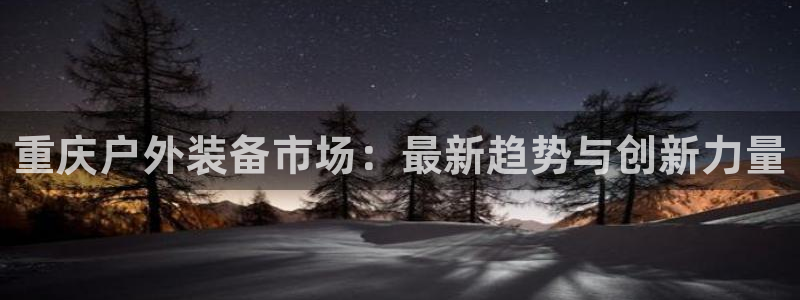 新宝gg软件