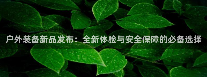 新宝奇迹GG