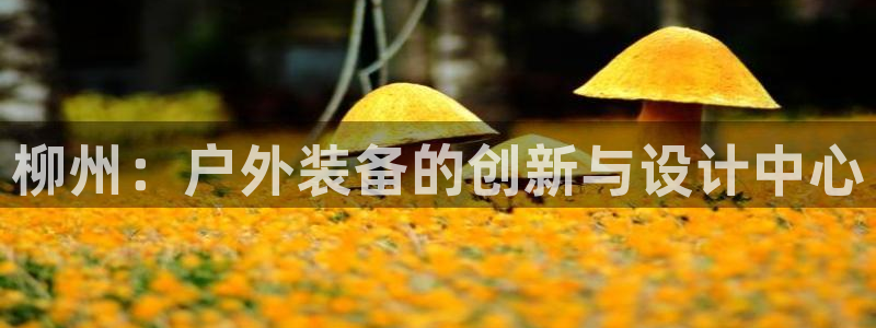 新宝gg主管weibo